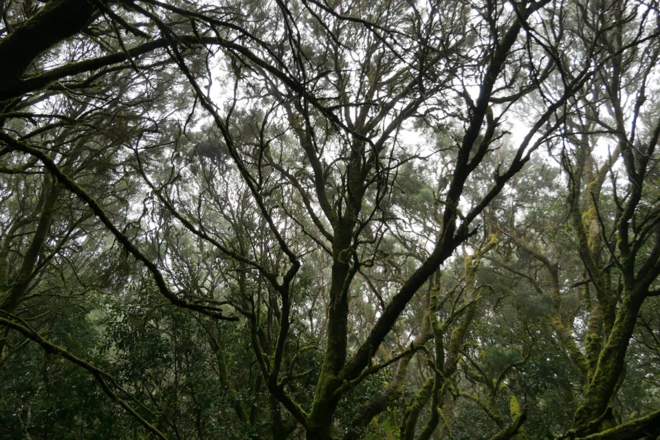 P1010339 960x640